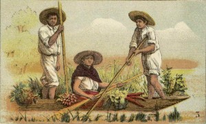 Placa III, imagen 3: Mexicanos nativos de Santa Anita e Ixtacalco al sur de la Capital.