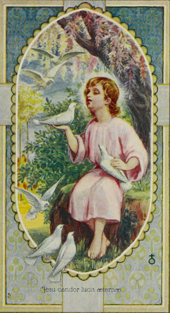 Candor de Jesús, luz eterna