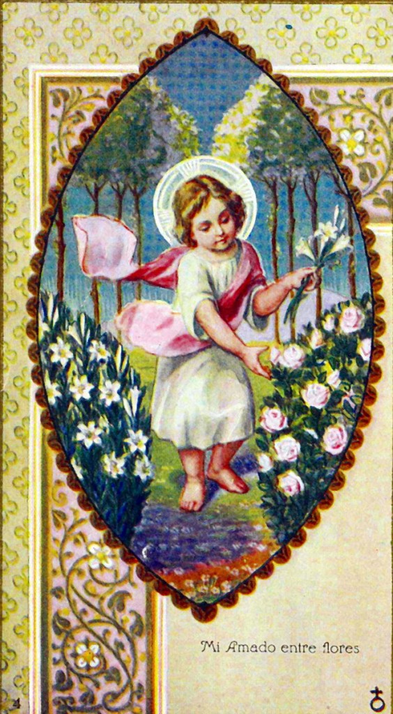 Mi Amado entre flores